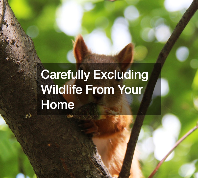 Carefully Excluding Wildlife From Your Home