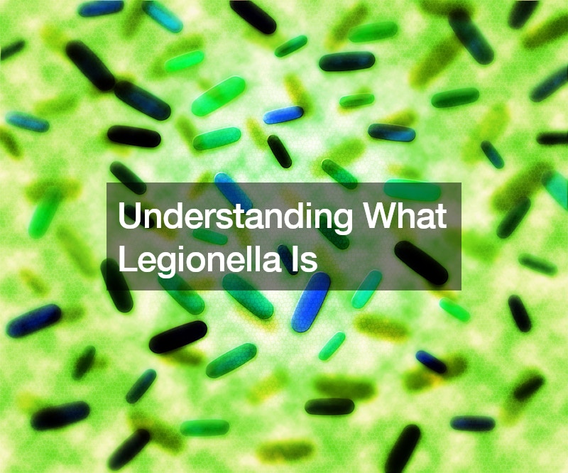 Understanding What Legionella Is