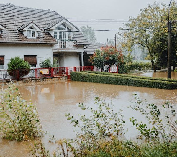 How to Maximize Your Storm Damage Insurance Claim Settlement